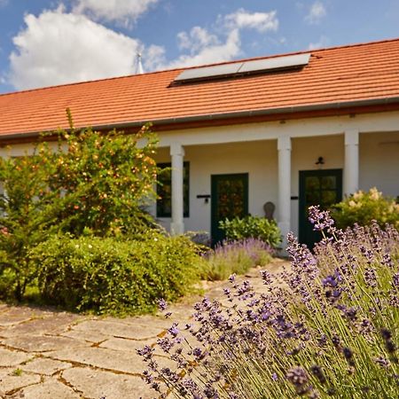 Hotel Barta Pince Vendeghaz Mád Exteriér fotografie