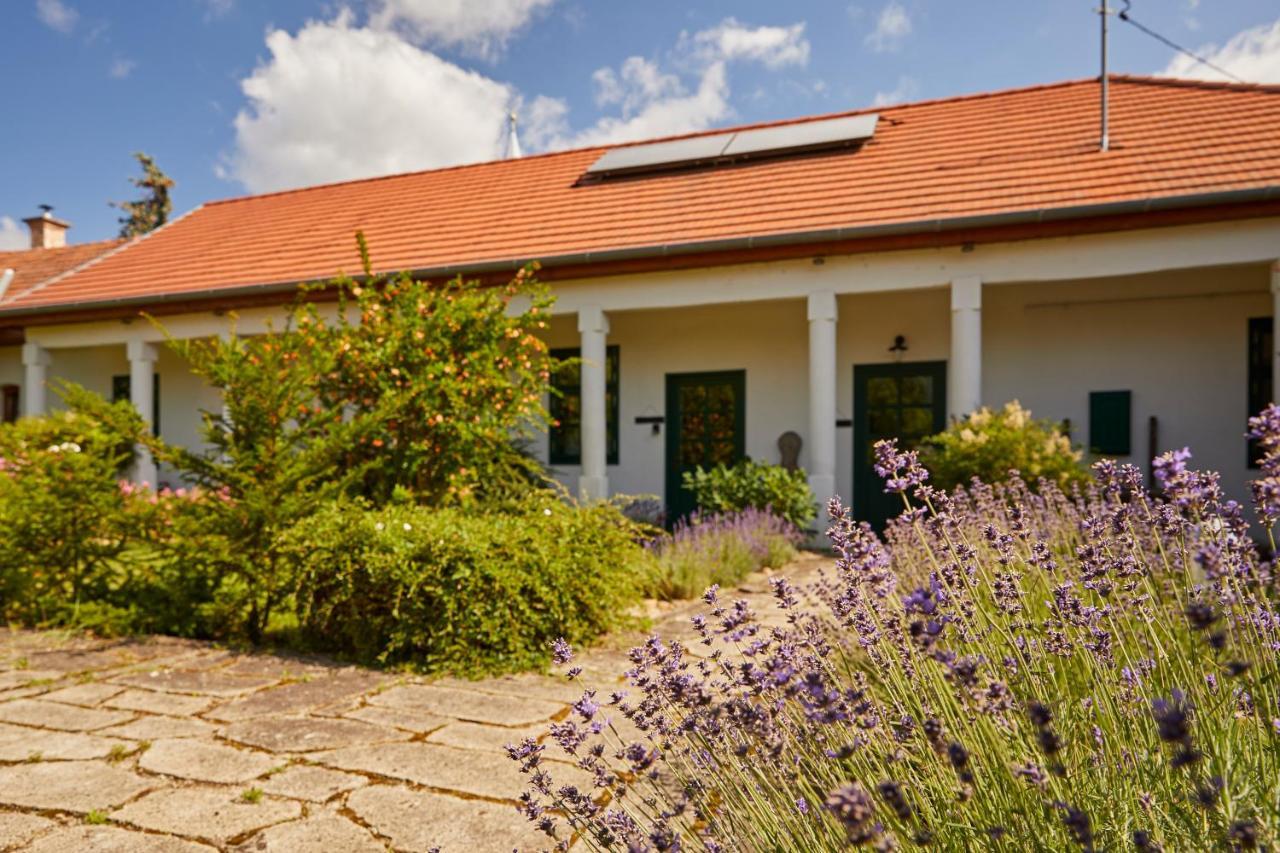Hotel Barta Pince Vendeghaz Mád Exteriér fotografie