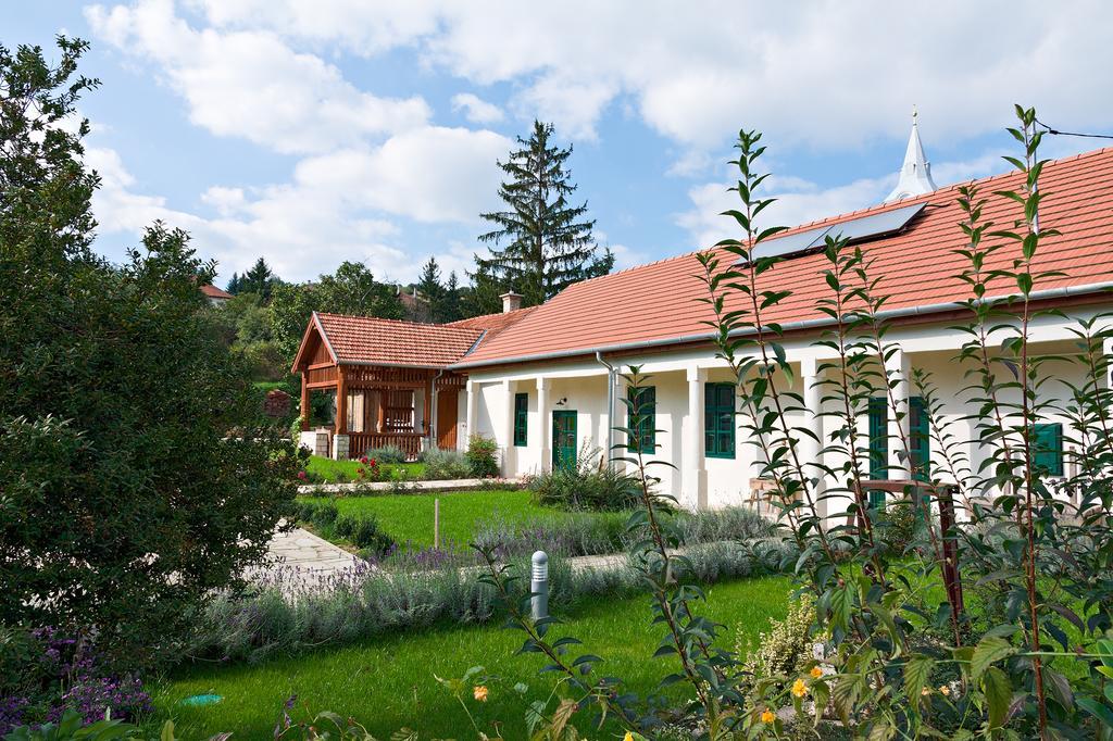 Hotel Barta Pince Vendeghaz Mád Exteriér fotografie